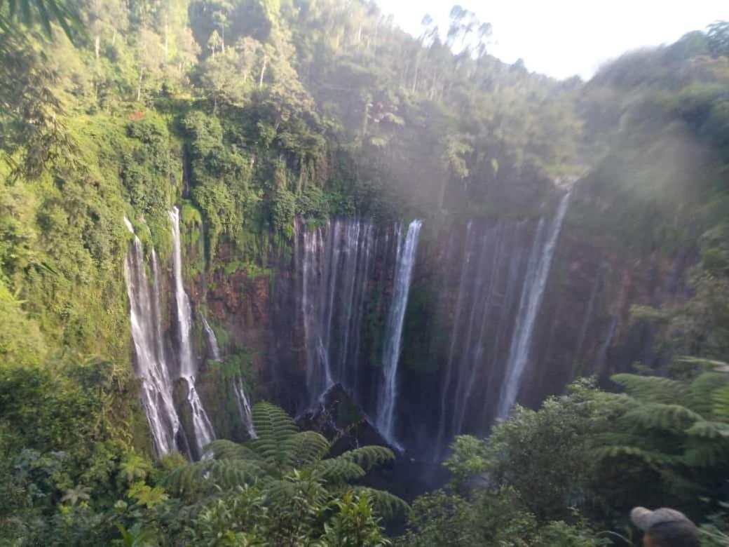 Javalindra Homestay Tour And Travel Banyuwangi  Exterior foto